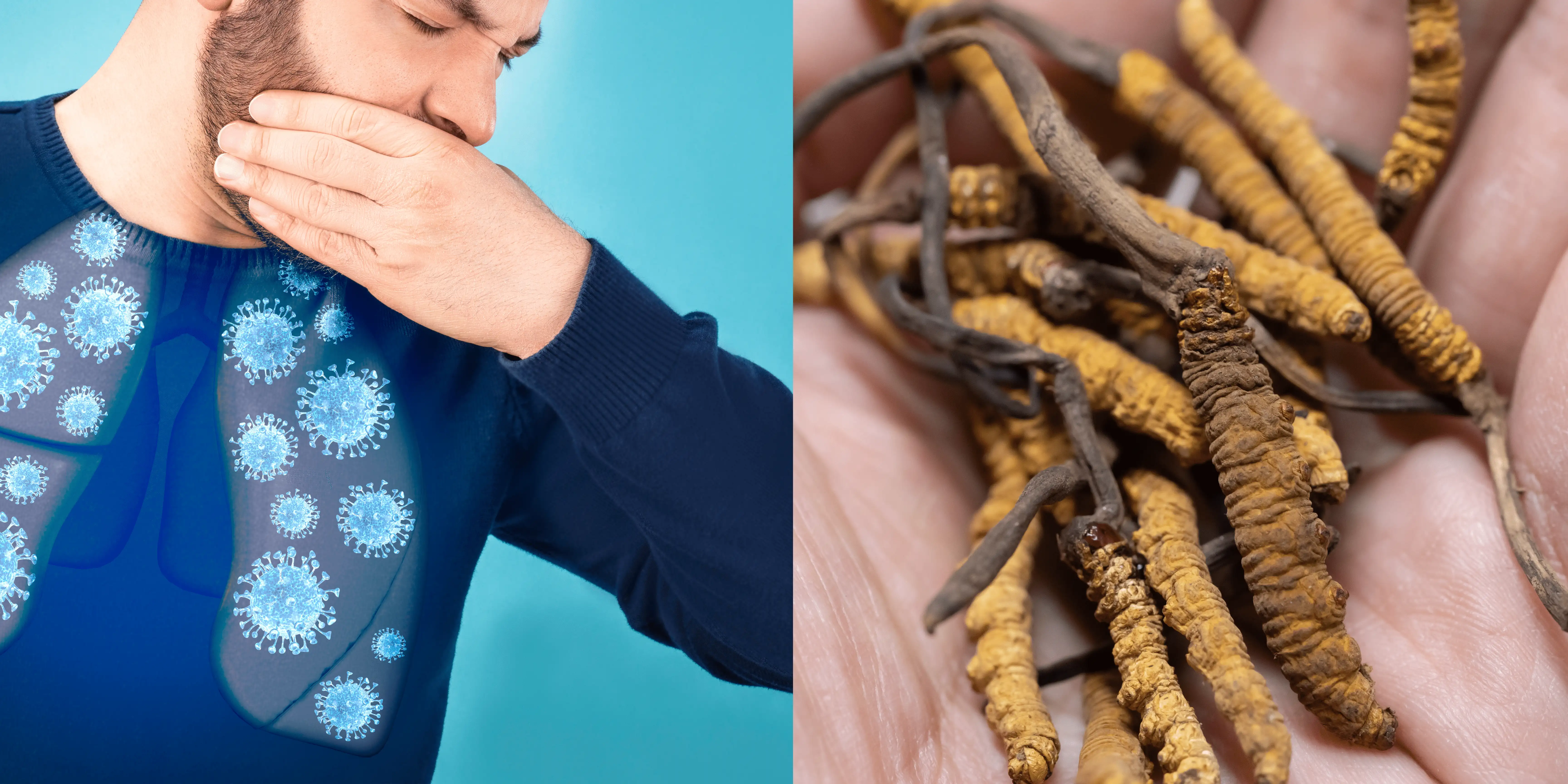 The Powerful Benefits of Cordyceps: A Natural Solution for Coughing and Lung Issues